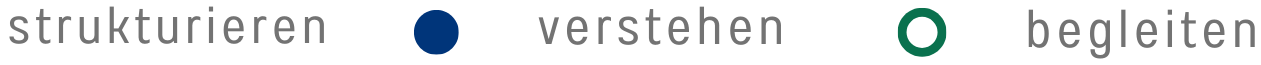struk_verst_begl_web strukturieren, verstehen, begleiten